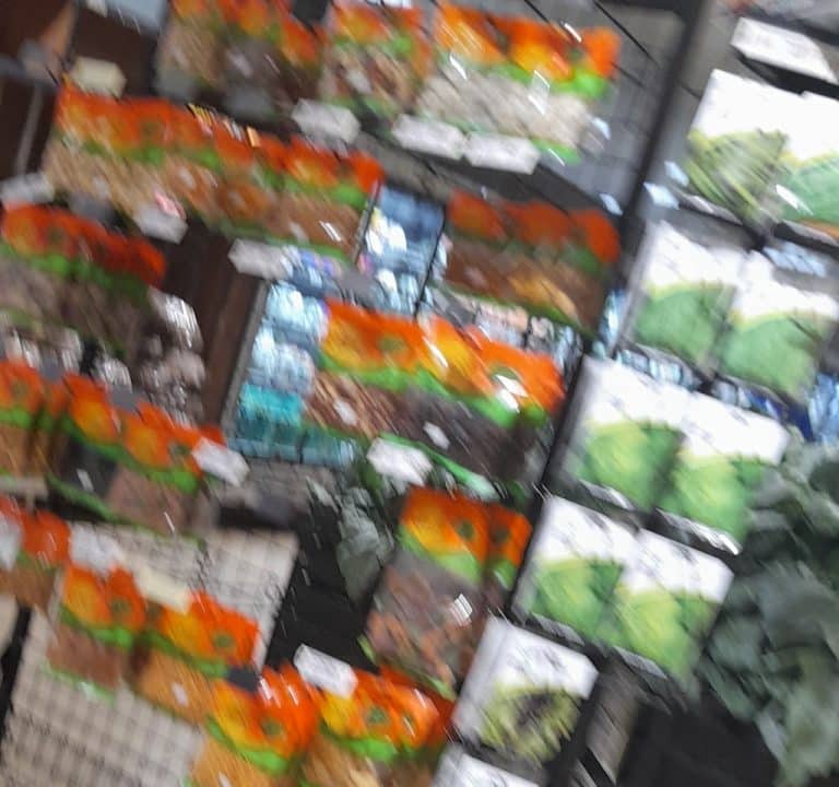 79Pls6W2uXTmoGgs5UIHfgw1024 h960 p k nodummy 768x720