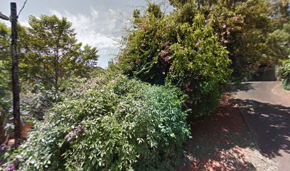 panoid384F1wSNEMzM60BNtEwMcQcb clientsearch.gws prod.gpsw408h240yaw67.640854pitch0thumbfov100dummy