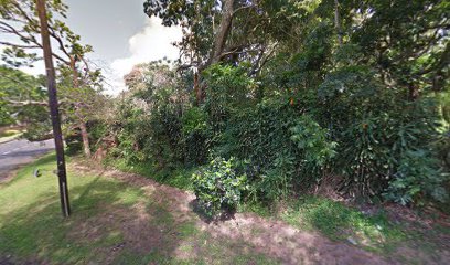 panoid5BAhRakua 6HlQ xotShCwcb clientsearch.gws prod.gpsw408h240yaw280.4166pitch0thumbfov100dummy
