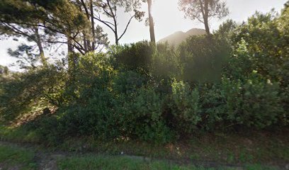 panoidfQppDXc0g441ufMXypBM2Acb clientsearch.gws prod.gpsw408h240yaw317.9003pitch0thumbfov100dummy